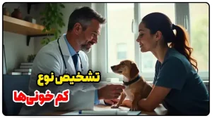 تشخیص نوع کم خونی‌ها