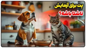 آیا پت برای آزمایش باید ناشتا باشه؟