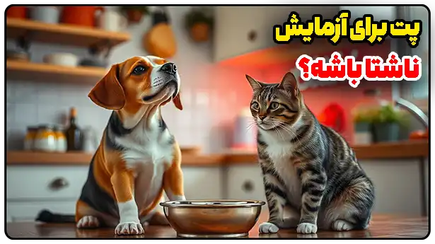 آیا پت برای آزمایش باید ناشتا باشه؟