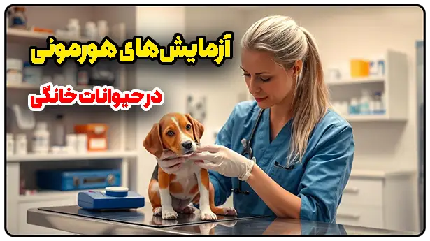 آزمایش‌های هورمونی در حیوانات خانگی