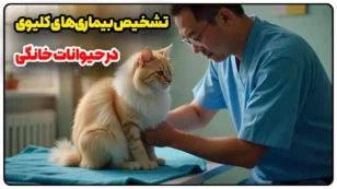 تشخیص بیماری‌های کلیوی در حیوانات خانگی