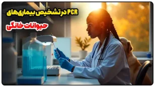 PCR در تشخیص بیماری‌های حیوانات خانگی